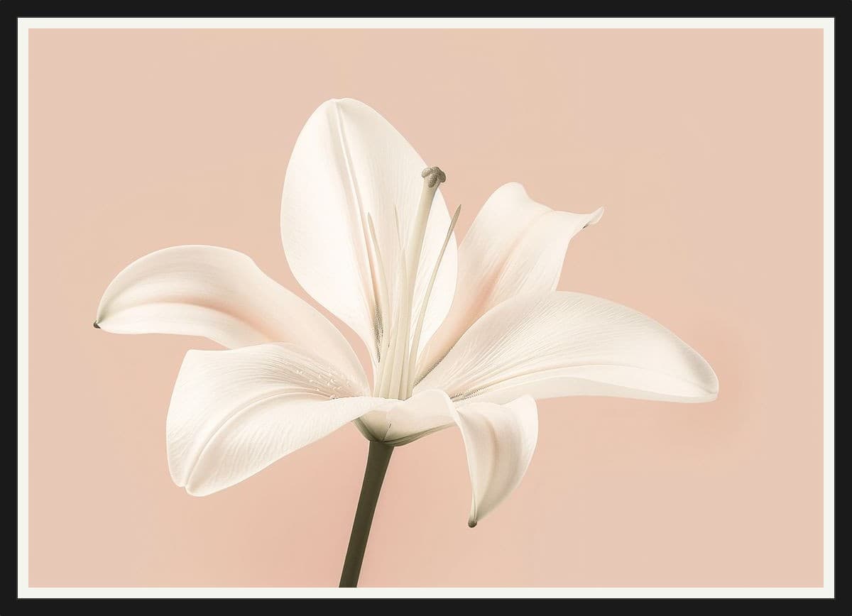 Botanical No. 15 - Black Frame