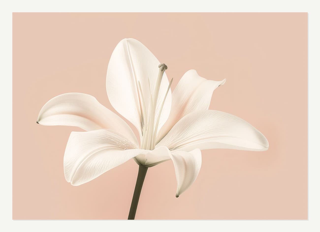 Botanical No. 15