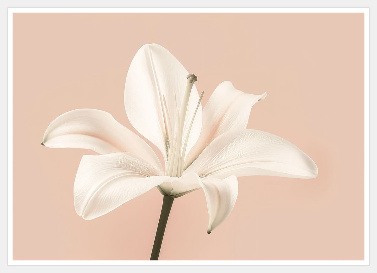 Botanical No. 15 - White Frame